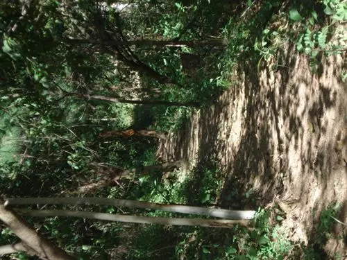 هتل Aguas Termales San Martín
