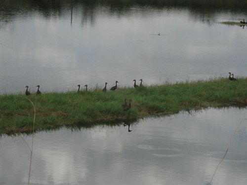 هتل Aguas Termales San Martín