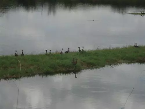 هتل Aguas Termales San Martín