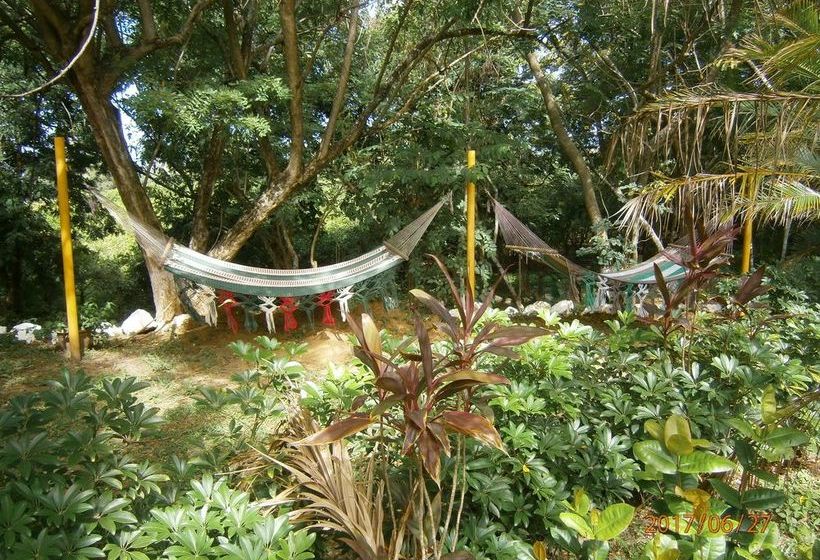 هتل Aguas Termales San Martín