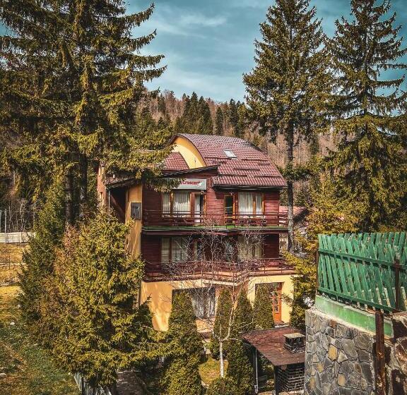 ホテル Pensiunea Crescent Predeal