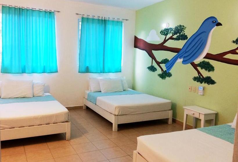 Hotel Playa Del Sol By Rotamundos