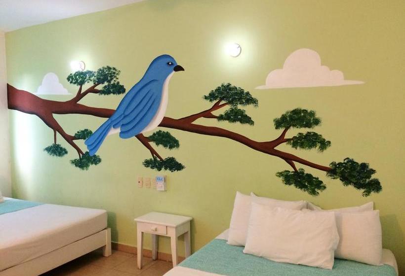 Hotel Playa Del Sol By Rotamundos