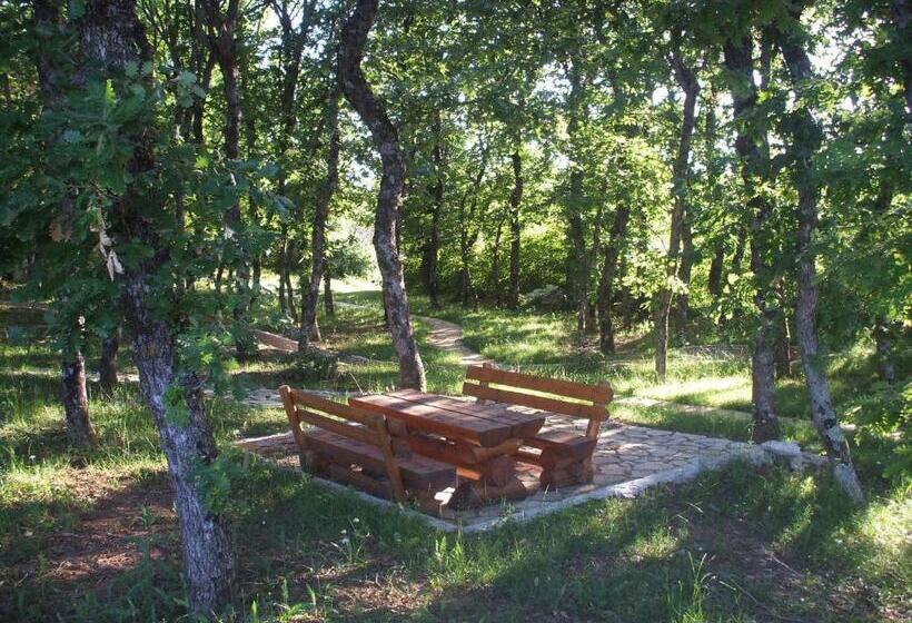 مُتل Villa Monako 2000