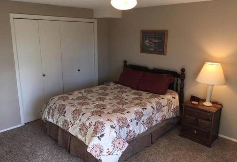 Priceless Black Hills View