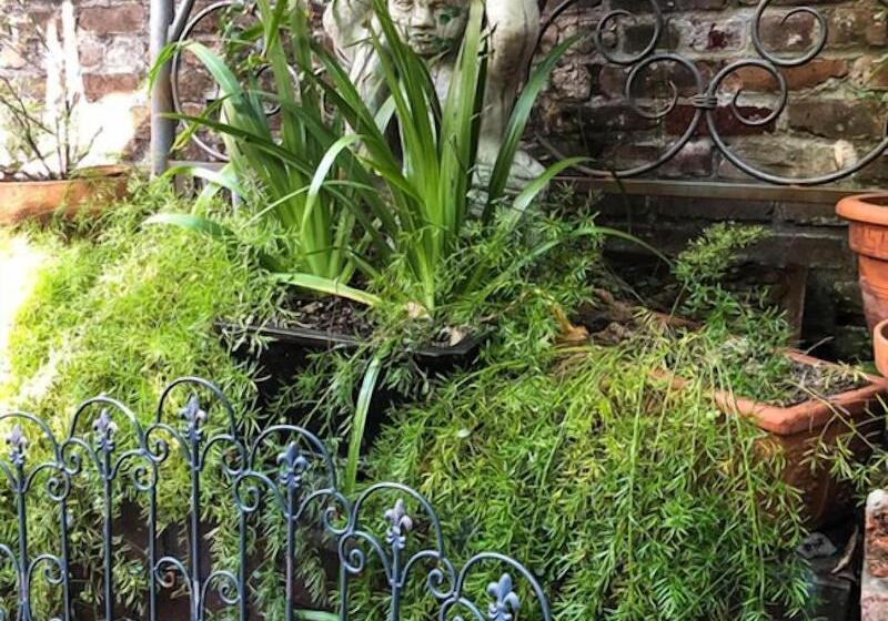 بنسيون Royal Barracks Guest House