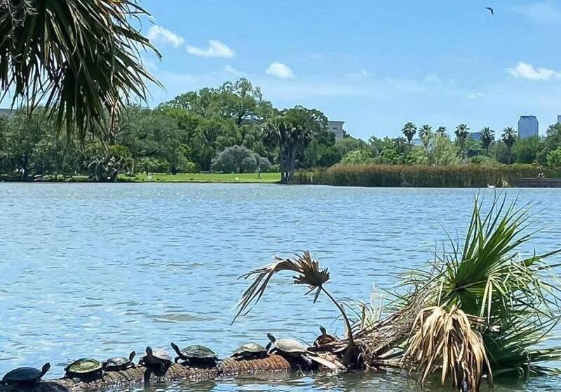 بنسيون Royal Barracks Guest House