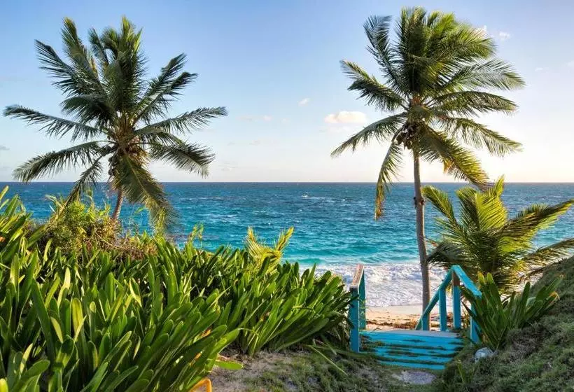 Seven Palms