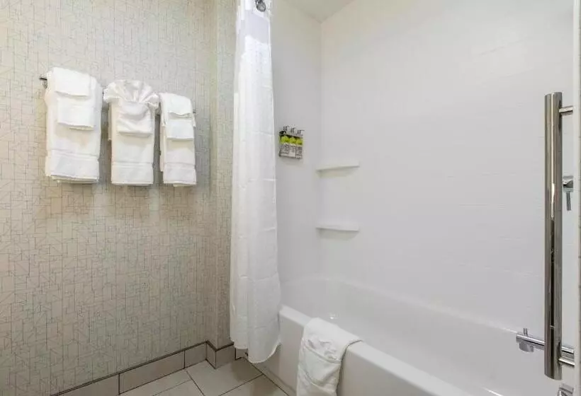 ホテル Holiday Inn Express & Suites Greenville S   Piedmont, An Ihg