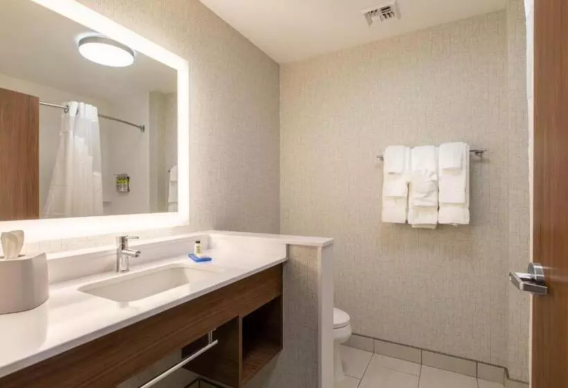 ホテル Holiday Inn Express & Suites Greenville S   Piedmont, An Ihg