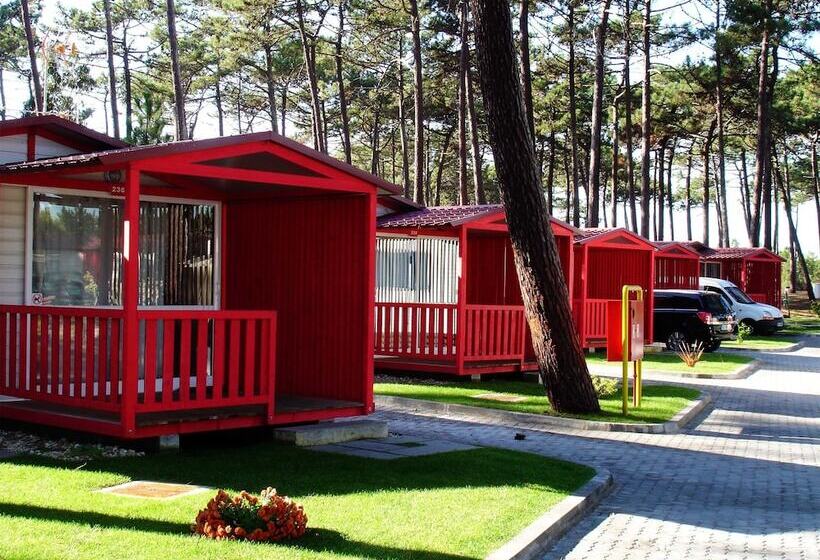 호텔 Parque De Campismo Orbitur Sao Pedro De Moel