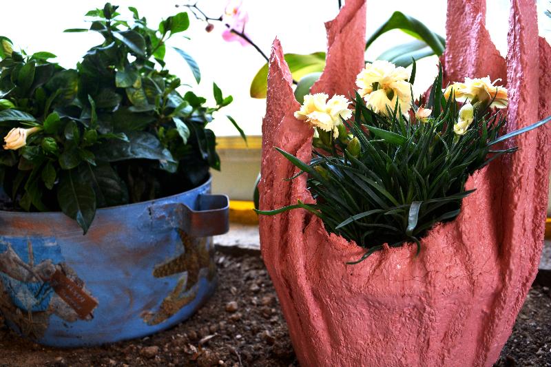 호텔 Apartments Despina