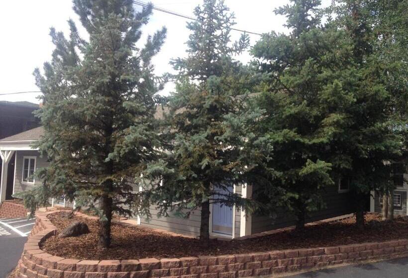 Отель Basalt Mountain Inn