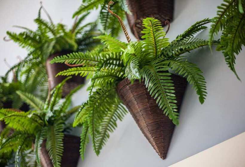 Szálloda João Pessoa Hplus Beach