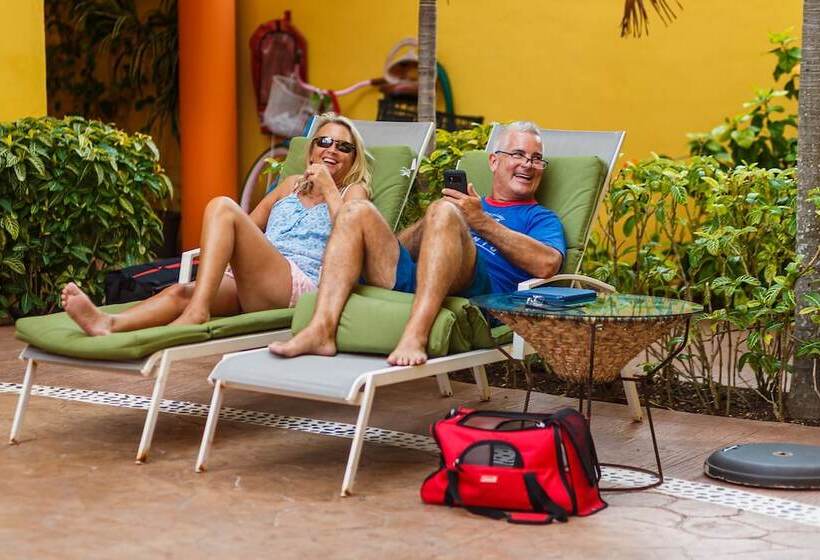 فندق Kaam Accommodations