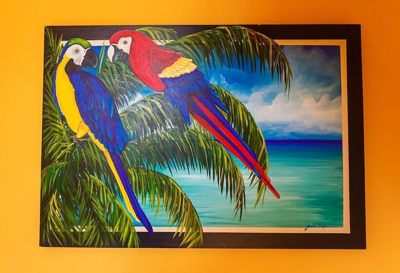 فندق Kaam Accommodations