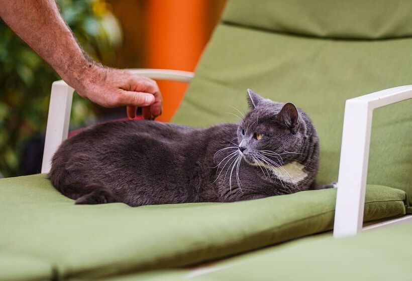 فندق Kaam Accommodations