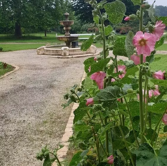 ホテル Domaine Des Chais
