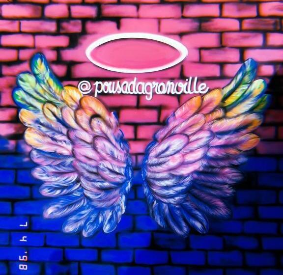 בית מלון כפרי Pousada Granville