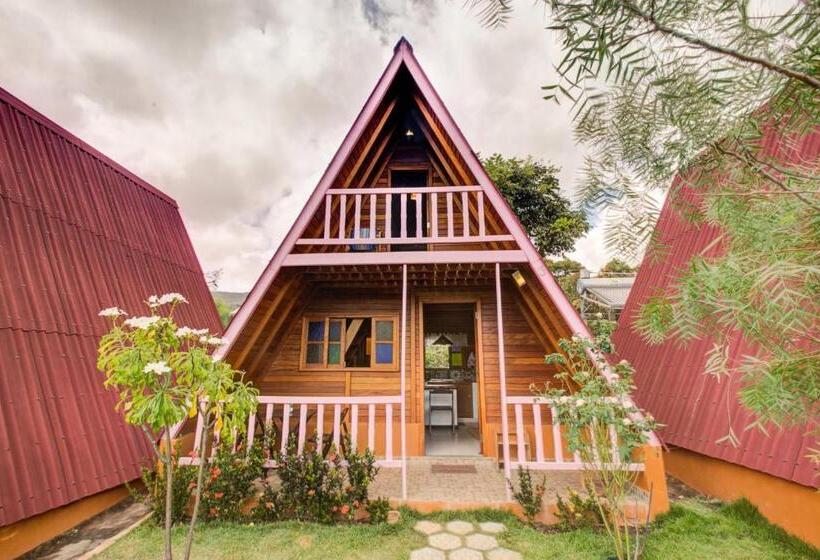 호텔 Pousada E Hostel Pé No Mato