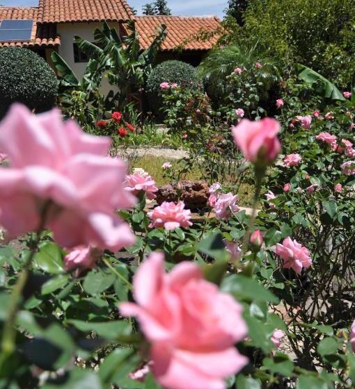 호텔 Pousada E Hostel Pé No Mato