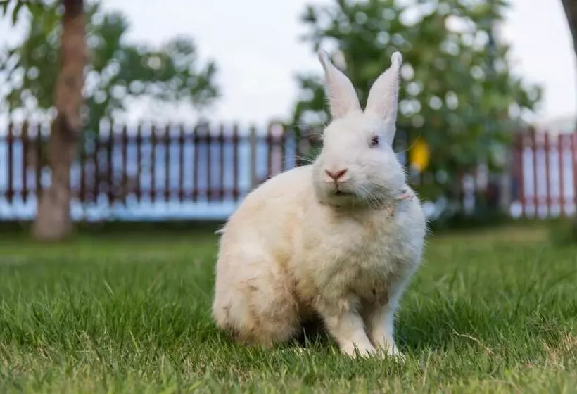 Hôtel Villa Sky Dancer Bali