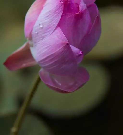 Hôtel Villa Sky Dancer Bali