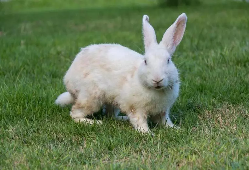 Hôtel Villa Sky Dancer Bali