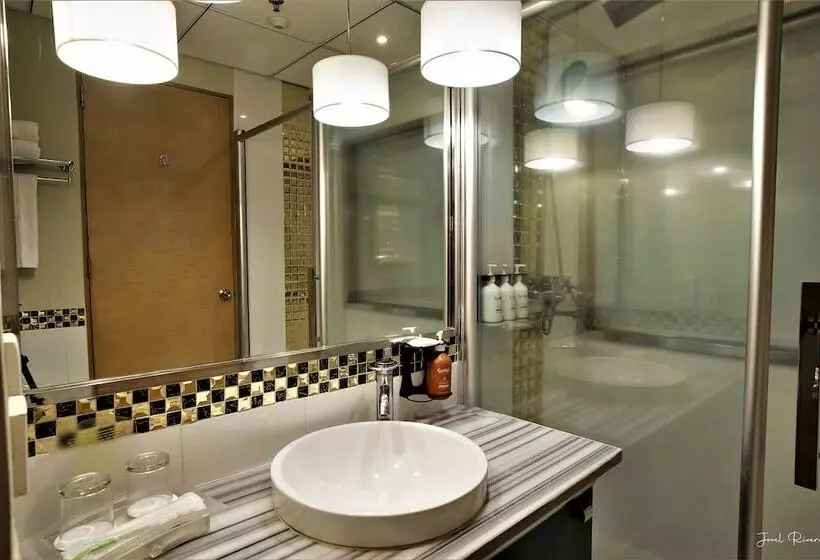Ion Hotel