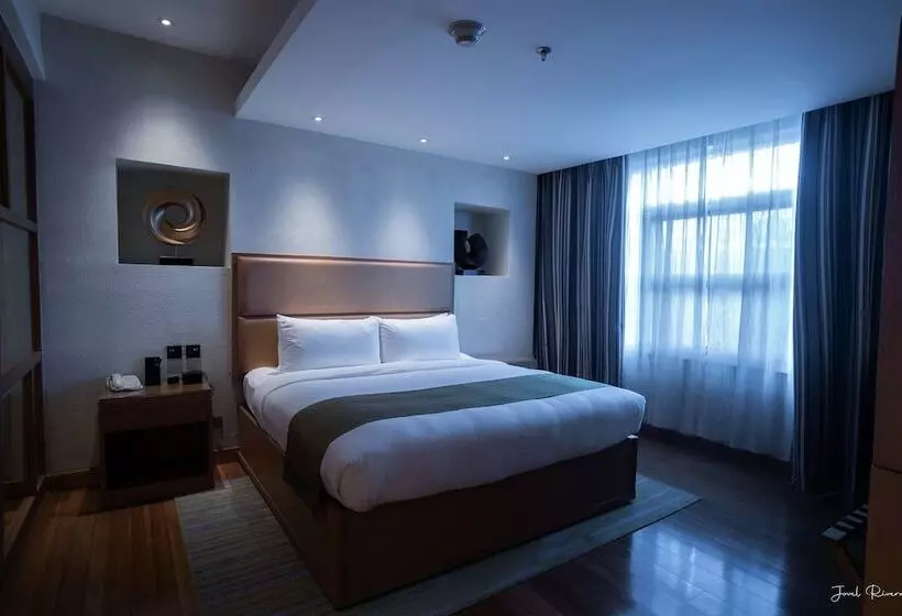 Ion Hotel