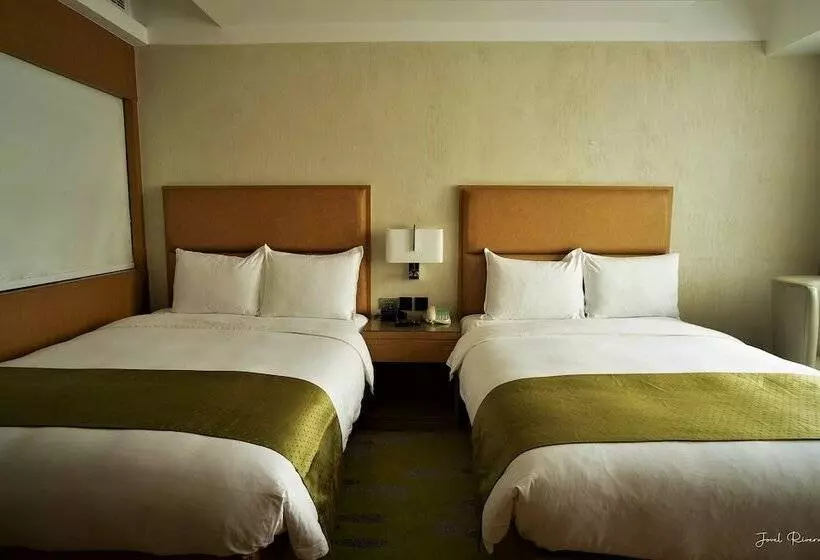 Ion Hotel