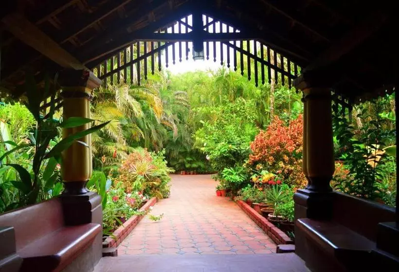 Palm Grove Cottages   Leisure Resort