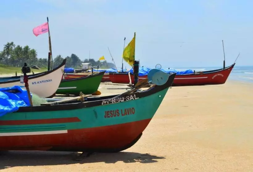 Palm Grove Cottages   Leisure Resort