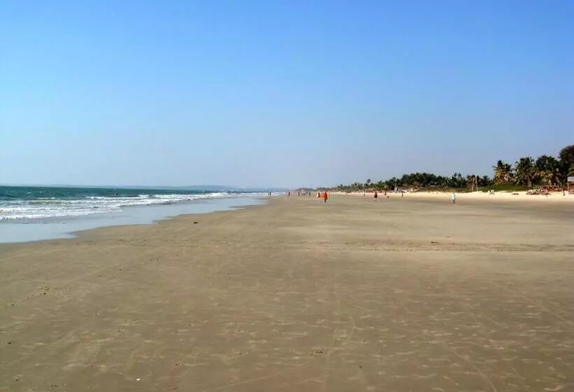 Palm Grove Cottages   Leisure Resort