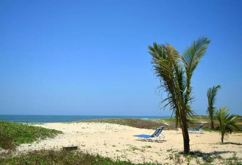 Palm Grove Cottages   Leisure Resort