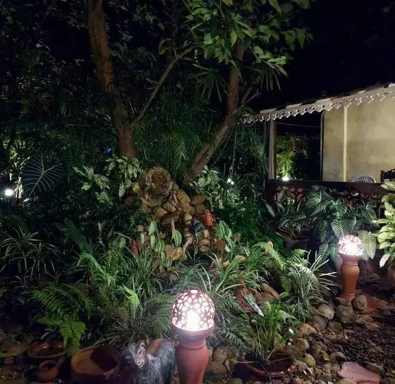Palm Grove Cottages   Leisure Resort