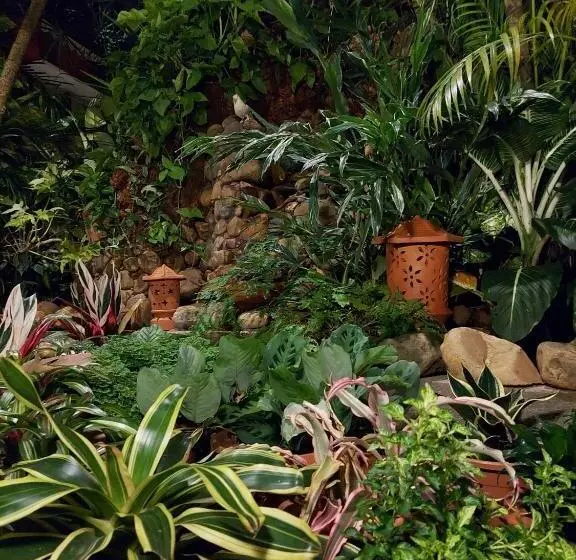 Palm Grove Cottages   Leisure Resort