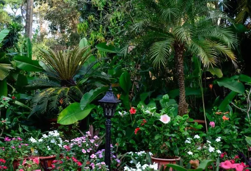 Palm Grove Cottages   Leisure Resort