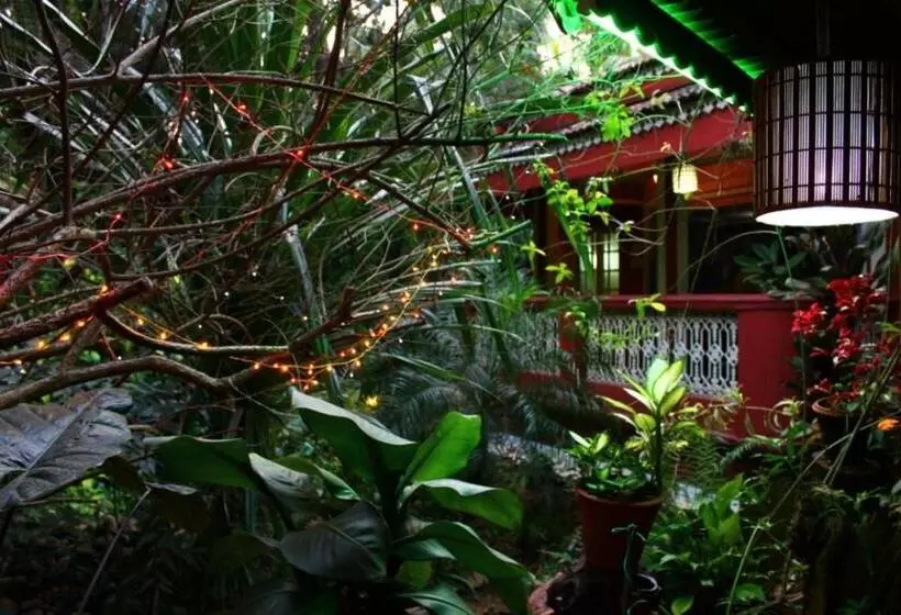 Palm Grove Cottages   Leisure Resort