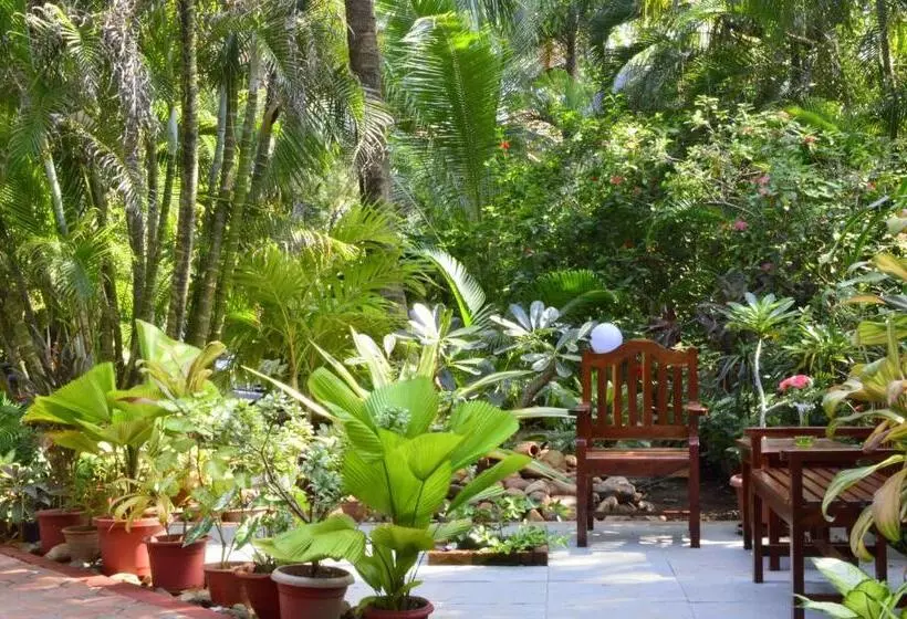 Palm Grove Cottages   Leisure Resort