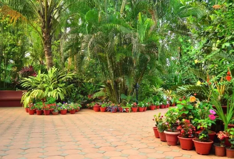 Palm Grove Cottages   Leisure Resort