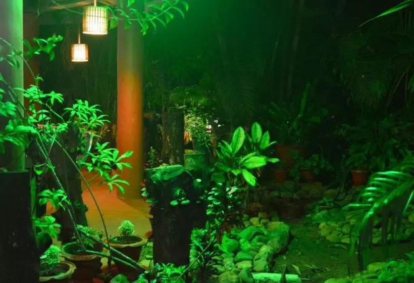 Palm Grove Cottages   Leisure Resort