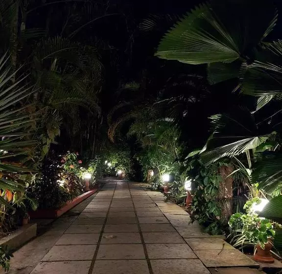 Palm Grove Cottages   Leisure Resort