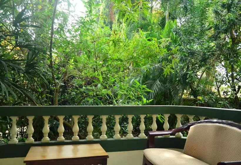 Palm Grove Cottages   Leisure Resort