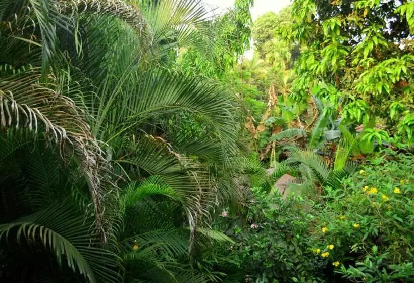 Palm Grove Cottages   Leisure Resort