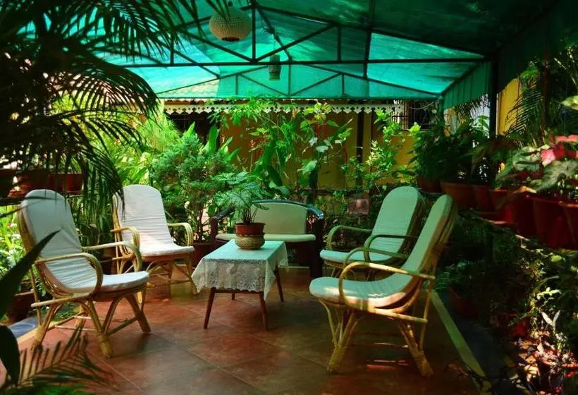 Palm Grove Cottages   Leisure Resort
