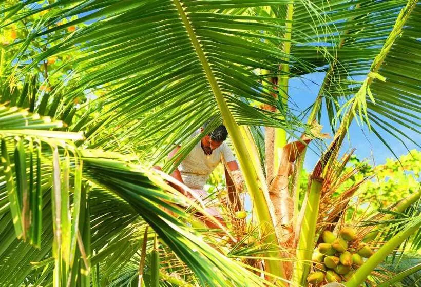 Lomakeskus Casa Marari