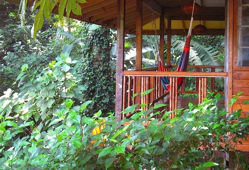 استراحتگاه Samasati Retreat And Rainforest Sanctuary