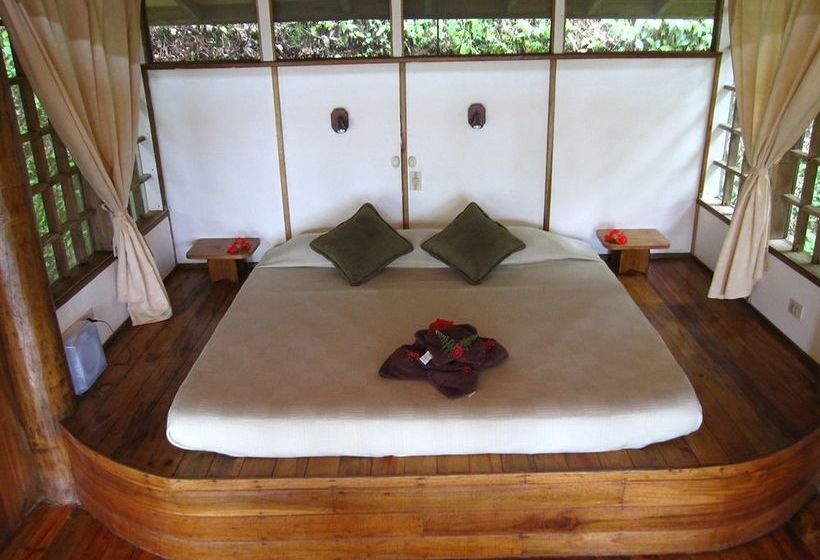 استراحتگاه Samasati Retreat And Rainforest Sanctuary