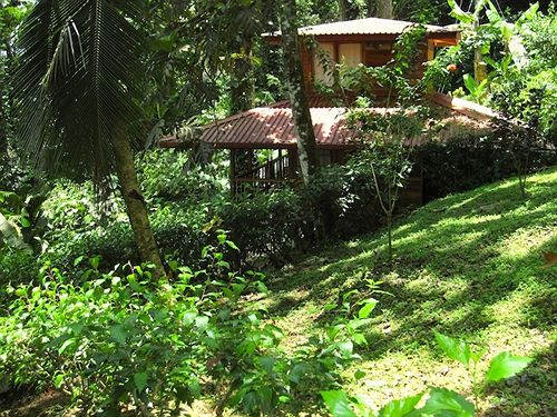 استراحتگاه Samasati Retreat And Rainforest Sanctuary